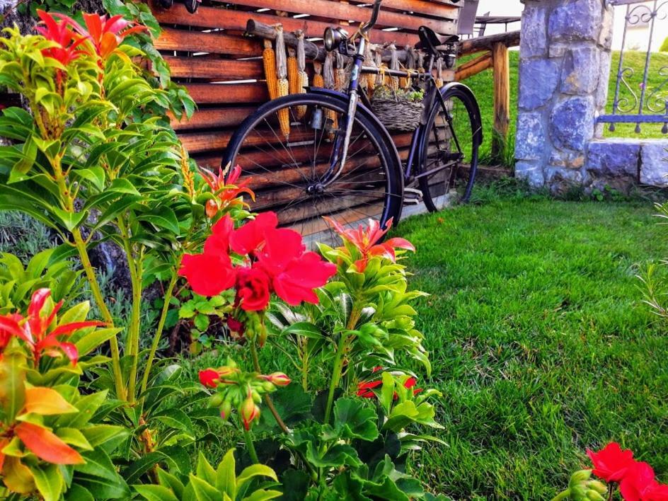 Barn House Mm * Bled
